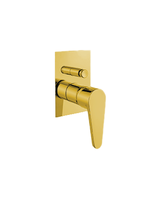 2-way built-in shower mixer with diverter  gold